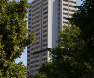 Haperowiec w Katowicach