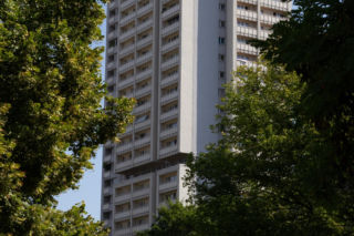 Haperowiec w Katowicach