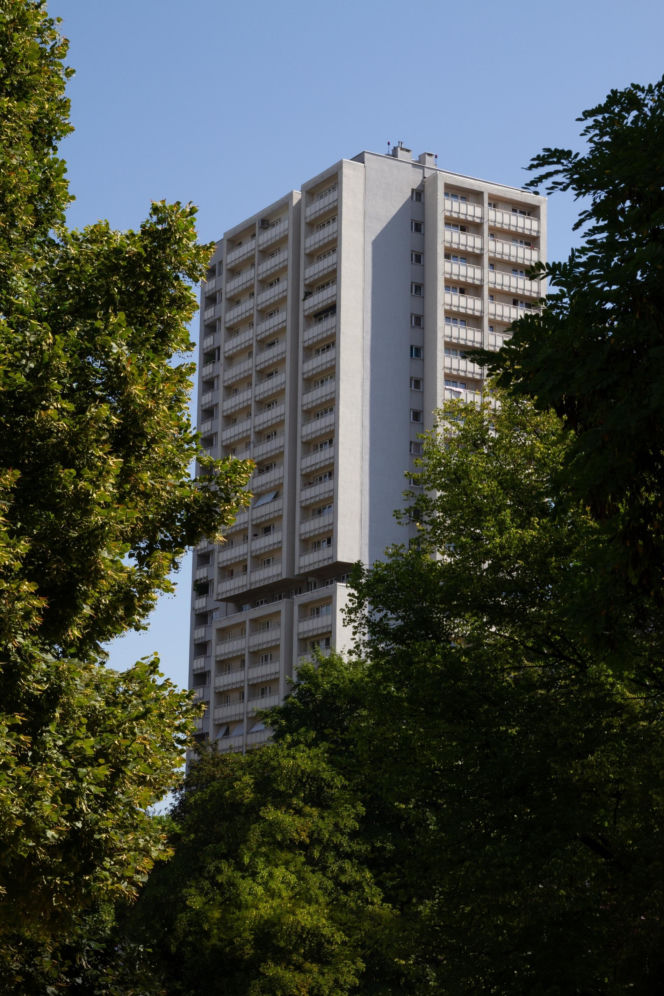 Haperowiec w Katowicach