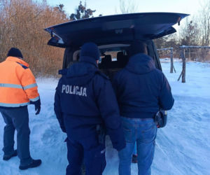 Metalowy łańcuch wrósł w szyję Reksia. Trzy kundelki z odmrożeniami