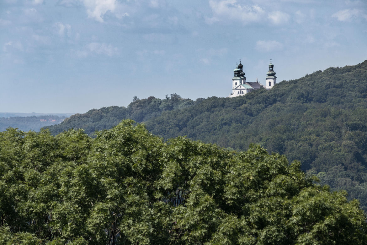 Klasztor kamedułów na Bielanach. Zakonnicy mieszkają tam od ponad 400 lat