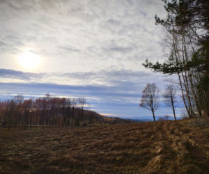 Jesień na Jamnej 