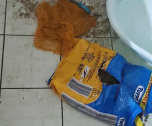 Interwencja Radzionków