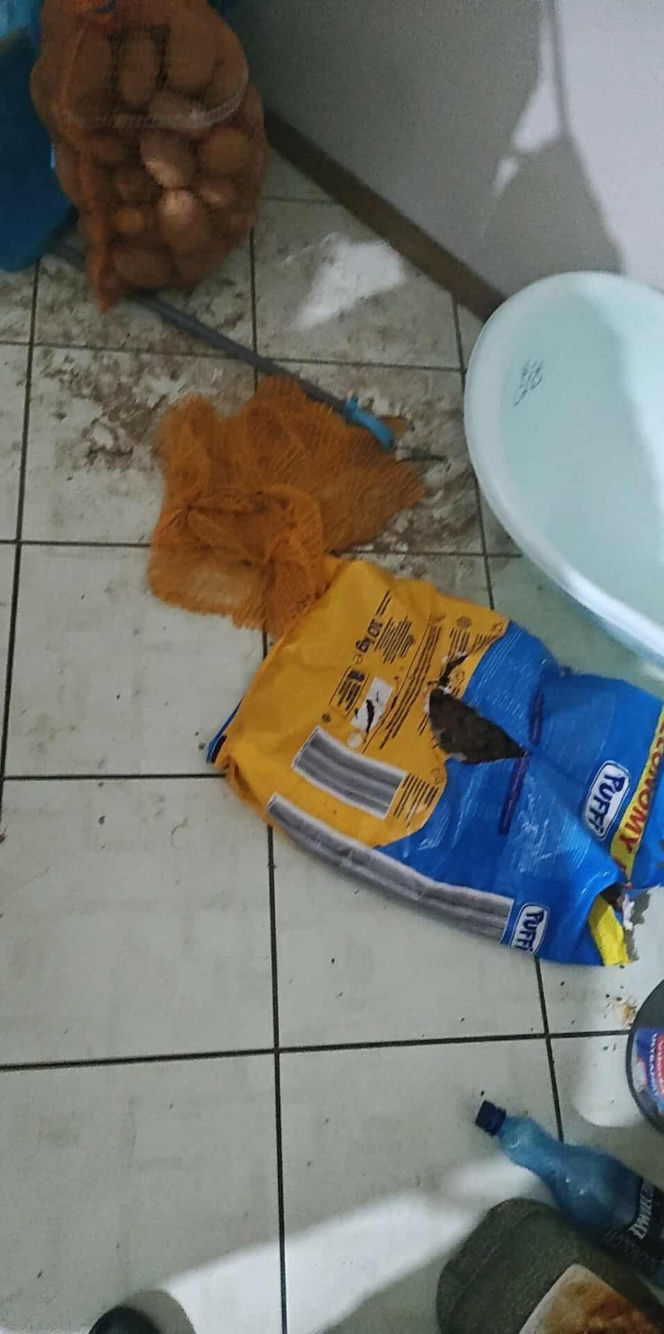 Interwencja Radzionków