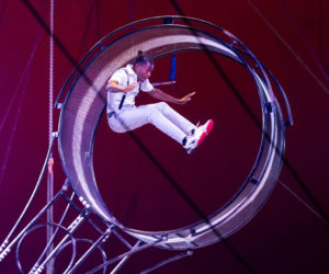 Festiwal w Cyrku Zalewski 2026. Oto zwycięzcy