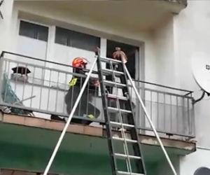 Wysoka: Przyjechał na sygnale do ukochanej. Wszedł na balkon i padł na kolana [WIDEO]