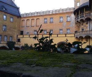 Znany dolnośląski zamek znów otwarty! Przez rok był zamknięty na cztery spusty