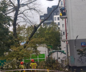 Potworne skutki wichury w Warszawie