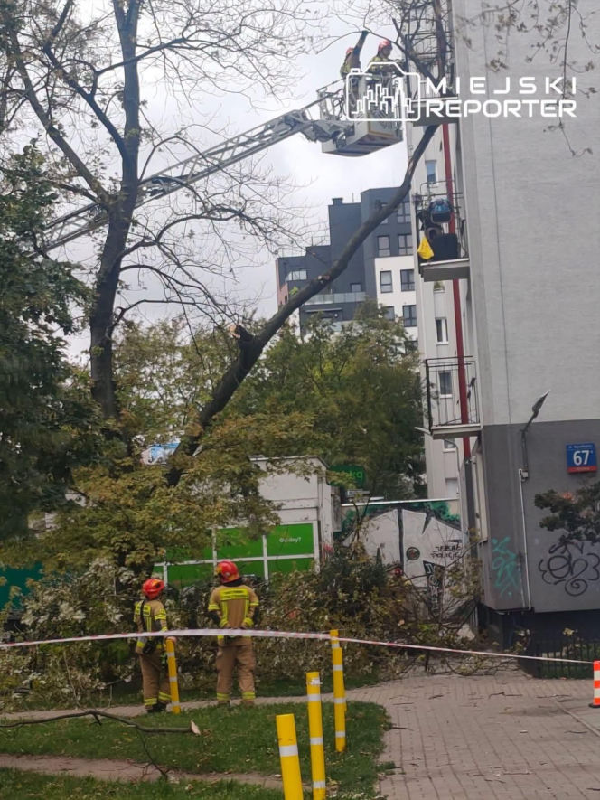 Potworne skutki wichury w Warszawie