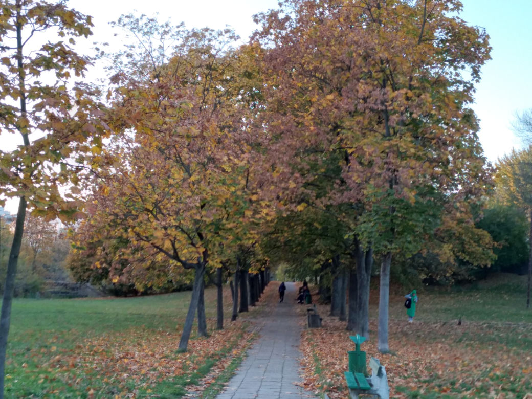 Park Skaryszewski