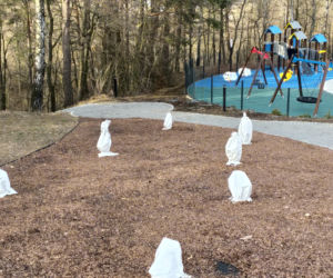 Park Zdrojowy w Ciężkowicach 