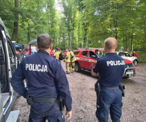 Tysiące osób szukało 12-letniej Eli. Tragiczny finał poszukiwań