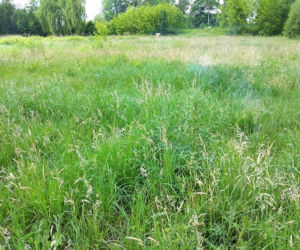 Dziesięć najbardziej wstydliwych miejsc Tarnowa. Niektóre straszą od wielu lat [CAŁA GALERIA]