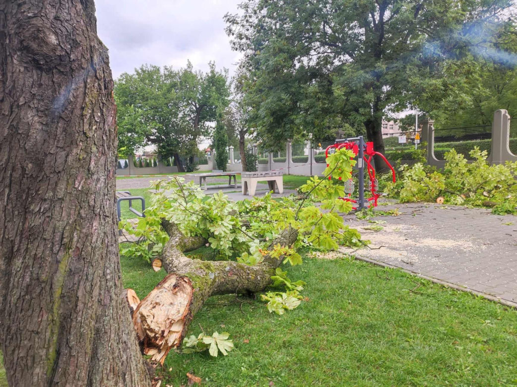 Tarnów. Dziewczynka uderzona przez zerwany konar. Koszmar na placu zabaw w Parku Strzeleckim