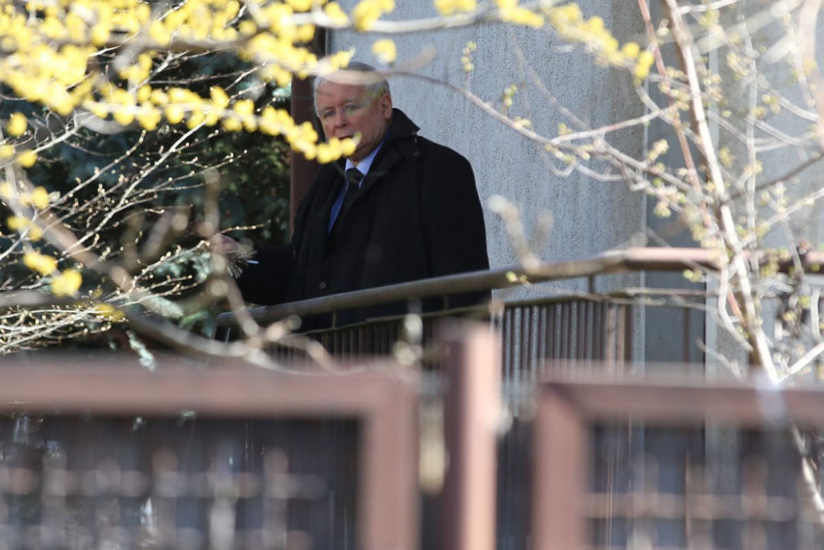  Tak Kaczyński woła kota 