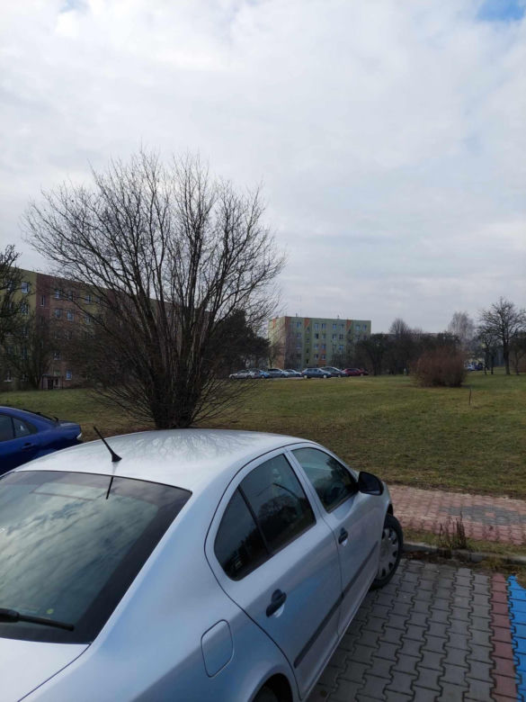 Gmina Starachowice sprzedaje kolejne działki przy Leśnej. Protesty mieszkańców nic nie dały
