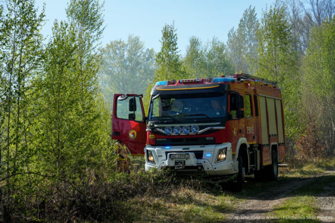 Do akcji ruszyły śmigłowce i samoloty. Gigantyczny pożar lasu pod Częstochową.
