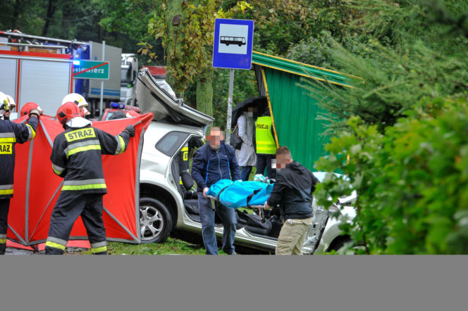ŚMIERĆ POD TIR-EM PRZEWĄŻĄCYM ŚWINIE.