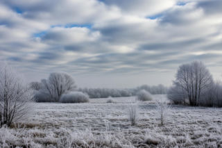 Inowrocław zamarznie 02.12.2025? Sprawdź, czy nadejdzie prawdziwa zima!