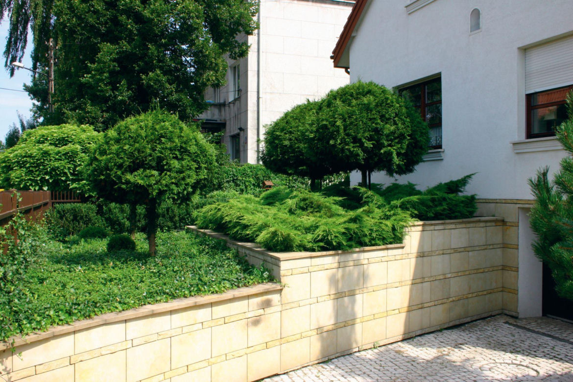 Krzewy okrywowe