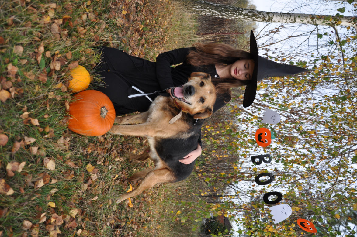 Zwierzaki w Potrzebie - urocze psy w Halloweenowej sesji! 