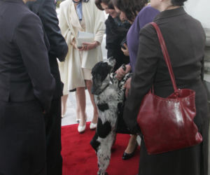 Pieski w Pałacu Prezydenckim