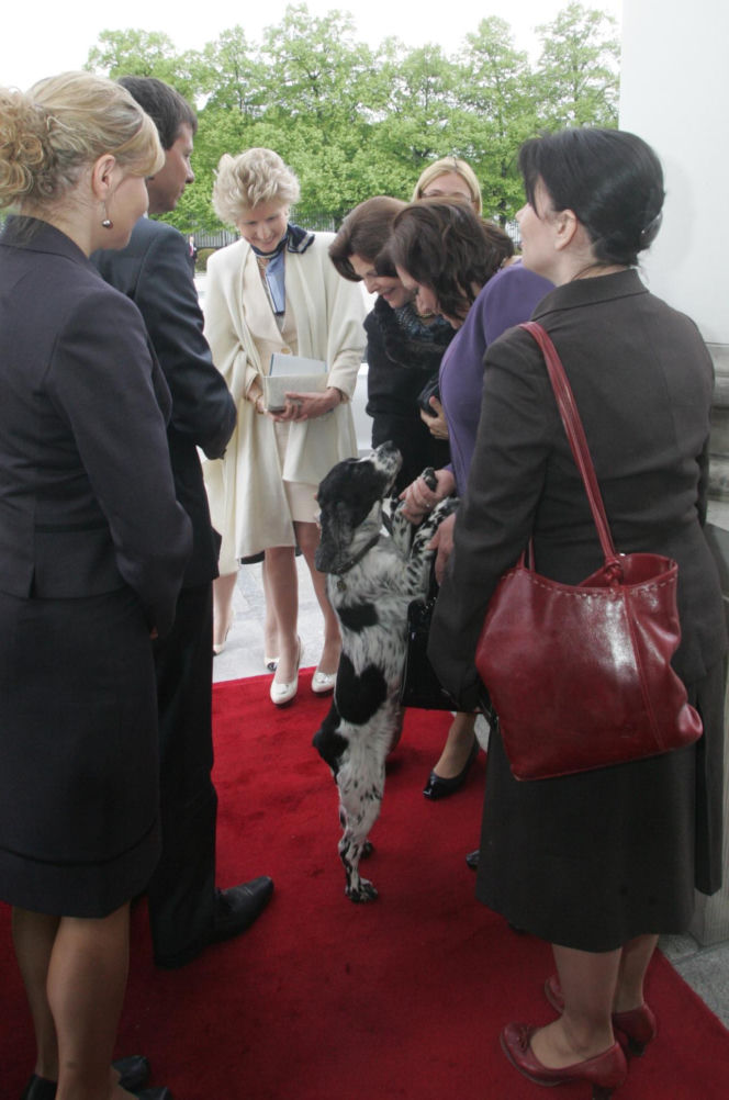 Pieski w Pałacu Prezydenckim