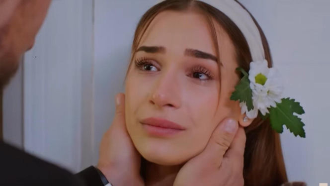 Miłość i nadzieja odc. 339. Sila, Kuzey