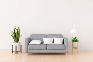 Rośliny w minimalistycznych wnętrzach