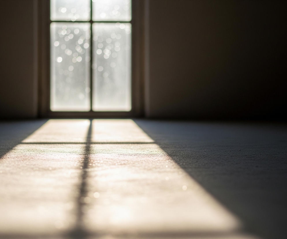 Na obrazie centralnie umieszczone jest okno, przez które wpada jasne, słoneczne światło, tworząc na podłodze wyraźny cień w kształcie krzyża z ram okna. Okno ma prostą, czteroczęściową konstrukcję, a za nim widać rozmyte, jasne punkty, prawdopodobnie krople deszczu lub odblaski. Podłoga w pomieszczeniu jest ciemna, a jej powierzchnia jest szorstka i teksturowana, z pojedynczymi, jasnymi punkcikami widocznymi w miejscach oświetlonych przez słońce, co nadaje jej efekt brokatu.