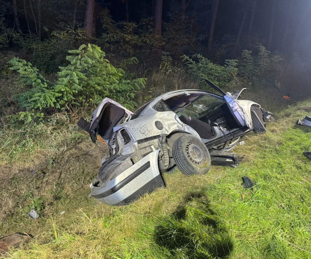 Wypadek w powiecie pińczowskim. Kobieta zakleszczona w aucie, w środku było też dziecko