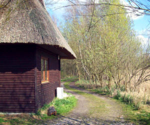 Rezerwat nad jeziorem Świdwie