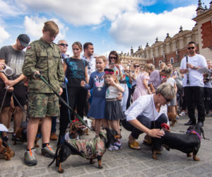 Kraków: Marsz Jaminików 2018. Zobaczcie najlepsze przebrania! [ZDJĘCIA]