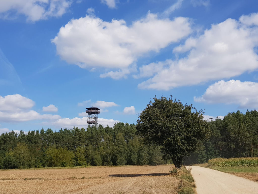 Wieża widokowa w Uhowie. To najwyższa wieża na Podlasiu [ZDJĘCIA]