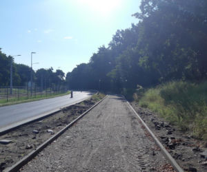 Budowa ścieżki rowerowej w ciągu Szosy Bydgoskiej na finiszu. Tak wyglądają prace w Toruniu