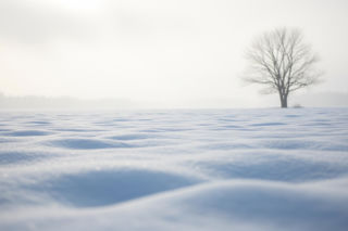 Tragiczne odkrycie w Warninie. Czy to ostrzeżenie dla nas wszystkich?