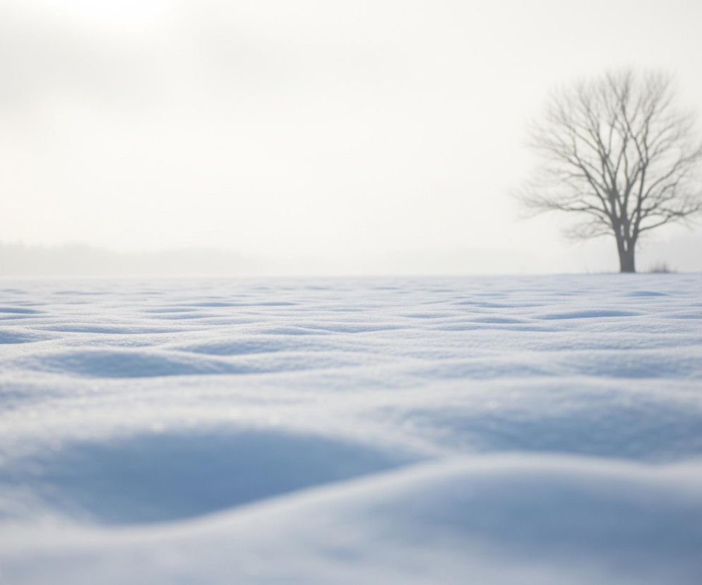 Zaspy śniegu pokrywają niemal całe szerokie pole, z delikatnymi, pofalowanymi wzorami na jego powierzchni. W oddali, po prawej stronie kadru, stoi samotne, bezlistne drzewo o rozłożystych, ciemnych gałęziach. Horyzont jest rozmyty, a nad nim rozciąga się jasne, mgliste niebo, lekko rozjaśnione w górnej części kadru.