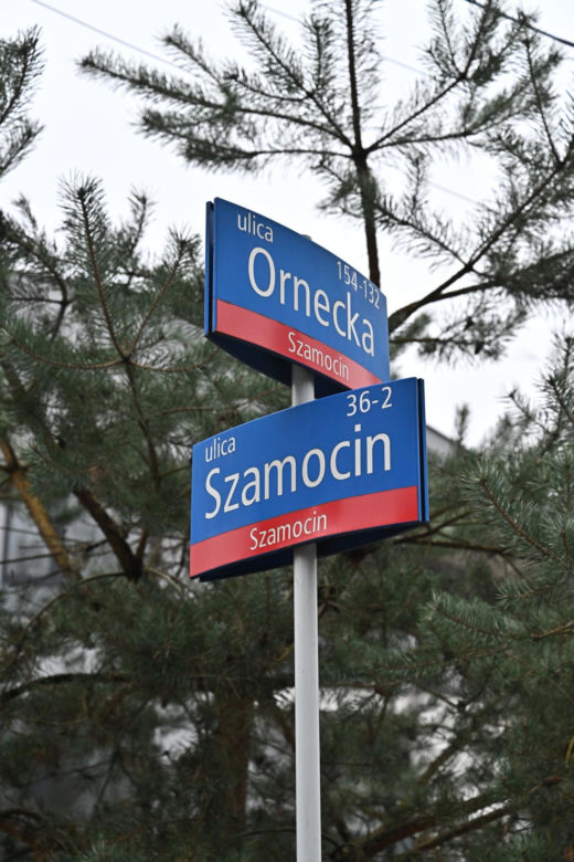 "Chcemy chodnika i autobusu". Mieszkańcy ul. Szamocin na Białołęce apelują do urzędników
