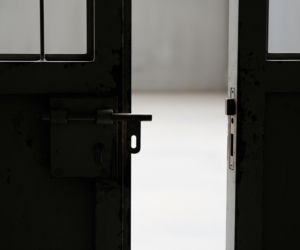 29-latek ukradł traktor. Co nim zrobił na rodzinnej posesji?