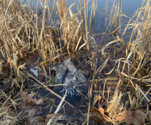 Siedleccy wędkarze chcą posprzątać okolice zalewu. Pomożecie?