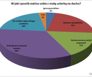 W jak isposób radzisz sobie z małą usterką?
