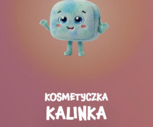Gotowi na nową przygodę? Gang Zaradniaków już czeka w Biedronce