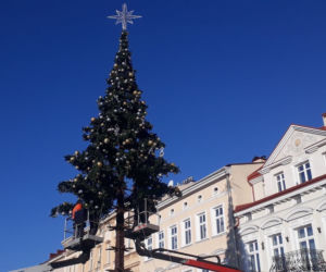 Rzeszów stroi się na święta