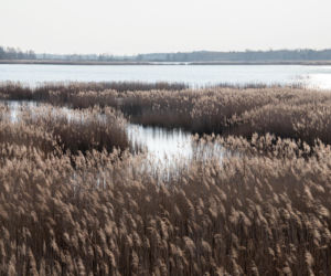 Tu majówkę spędzisz bez tłumów. Top 5 miejsc w Polsce