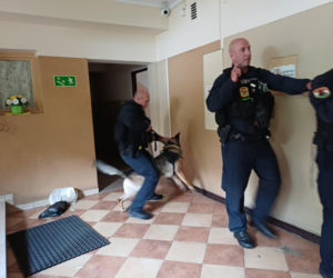 Psy służbowe, szkolenia i strefa pierwszej pomocy. Trwa drugi dzień CERBERUS K9 w Ostrowie