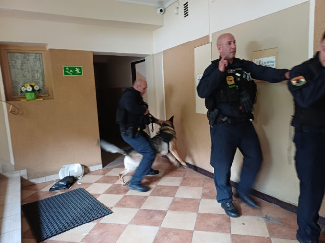 Psy służbowe, szkolenia i strefa pierwszej pomocy. Trwa drugi dzień CERBERUS K9 w Ostrowie