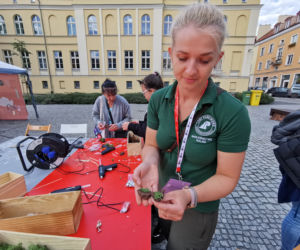 15. Multi Art Festival w Kaliszu