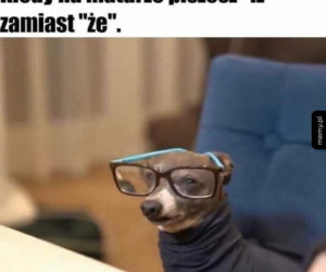 Matura 2022 - memy i obrazki, które bawią do łez
