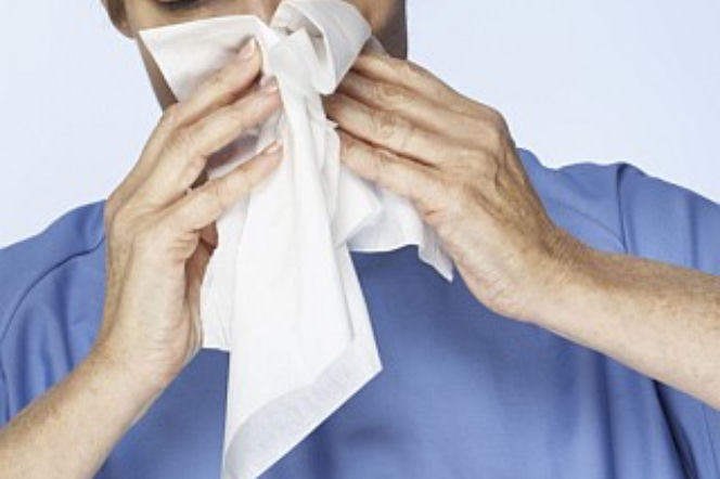 grypa_epidemia