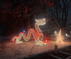 MagicznyBotaniczny 2025/2026 w Warszawie